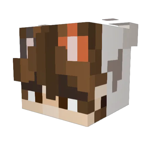 daikichininja Minecraft avatar head, 3D render