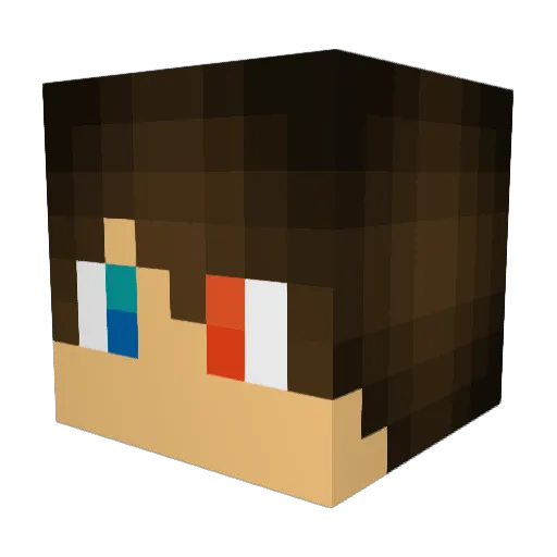 daikin810 Minecraft avatar head, 3D render