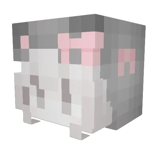 dailyfeather Minecraft avatar head, 3D render
