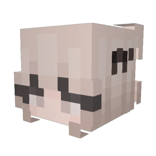 dailyvibes Minecraft avatar head, 3D render