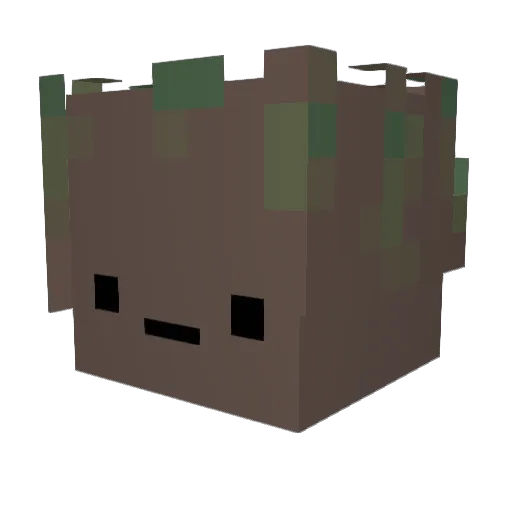 dairoom Minecraft avatar head, 3D render