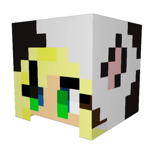 dairy_fairy Minecraft avatar head, 3D render
