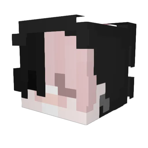 daisiesandskulls Minecraft avatar head, 3D render