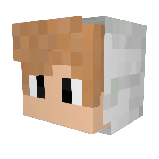 daisukedaisuke Minecraft avatar head, 3D render