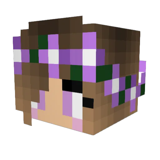 daisy2563 Minecraft avatar head, 3D render