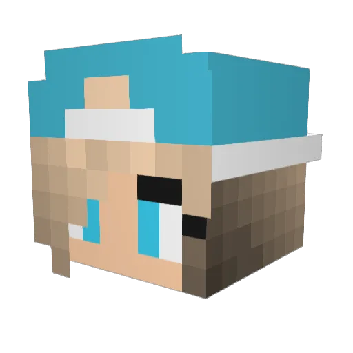 daisy464 Minecraft avatar head, 3D render