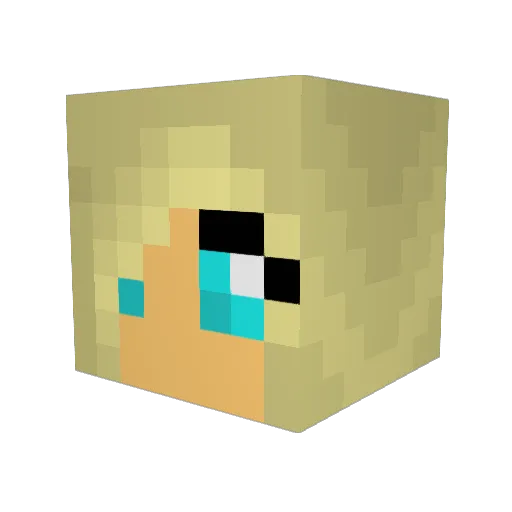 daisy800 Minecraft avatar head, 3D render