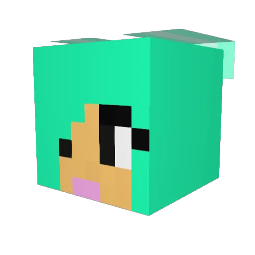 daisyduck514 Minecraft avatar head, 3D render