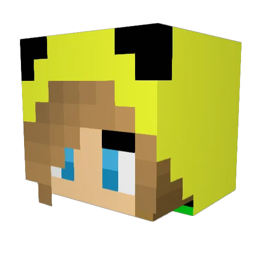 daisyprinc Minecraft avatar head, 3D render