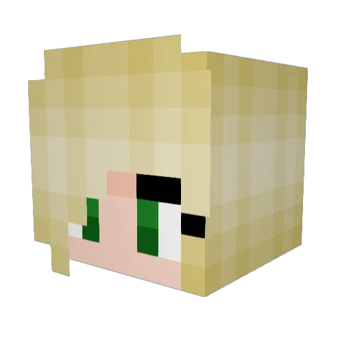 daisyschau62 Minecraft avatar head, 3D render