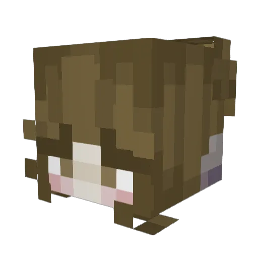 daisyxlovee Minecraft avatar head, 3D render