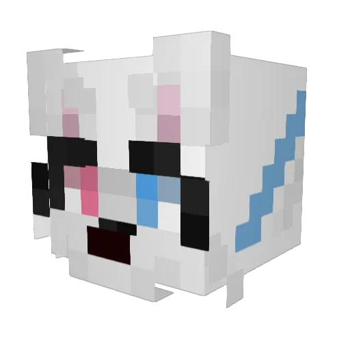 dak0t4_ Minecraft avatar head, 3D render