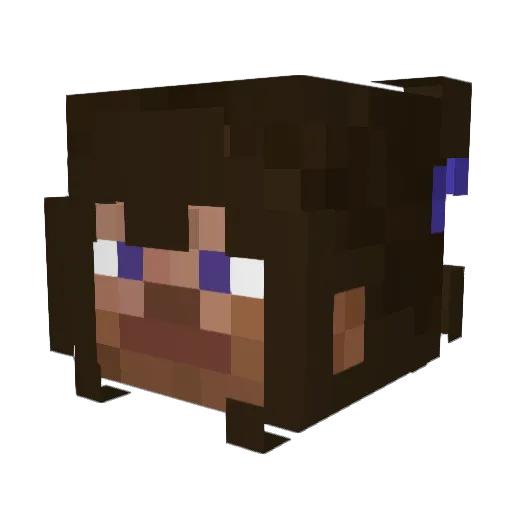 dakimeow Minecraft avatar head, 3D render