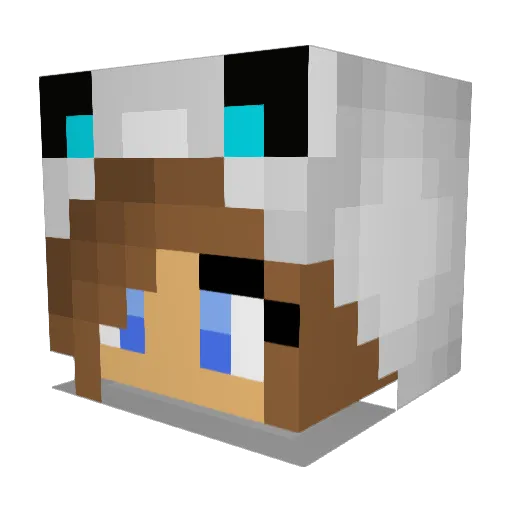 dakingbacca098 Minecraft avatar head, 3D render