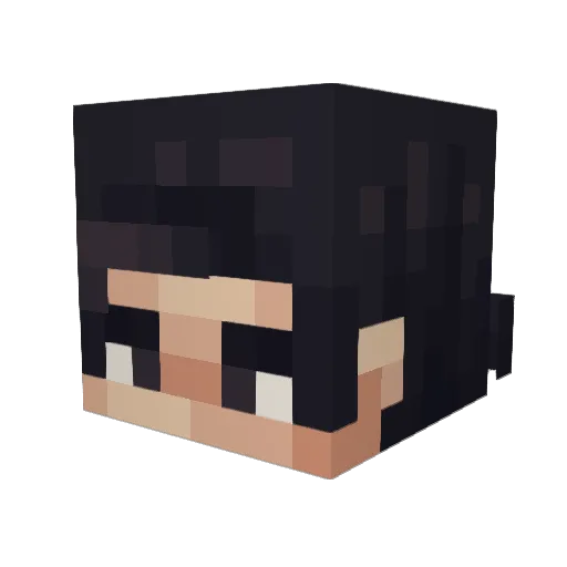dakipdog Minecraft avatar head, 3D render