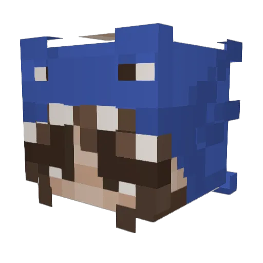 dakkottaa Minecraft avatar head, 3D render