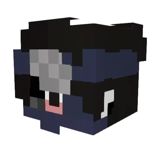 dakota101010 Minecraft avatar head, 3D render
