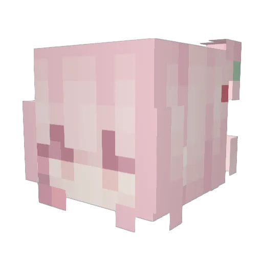 dakota328 Minecraft avatar head, 3D render