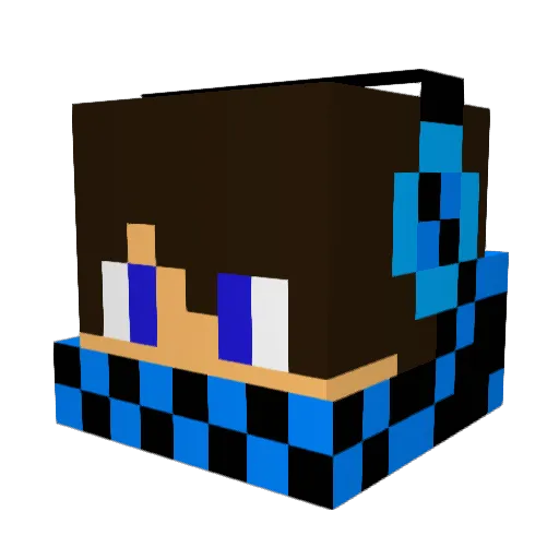 dakota8017 Minecraft avatar head, 3D render