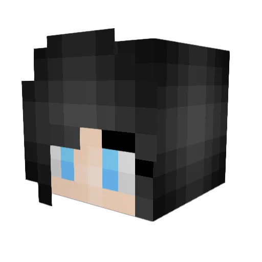 dakota812 Minecraft avatar head, 3D render