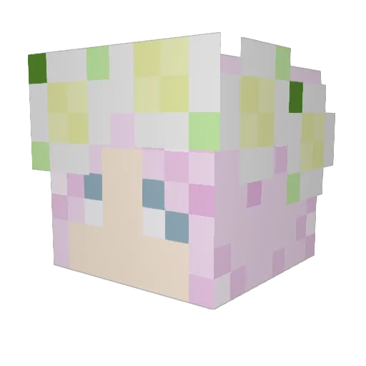 dakotabrooke Minecraft avatar head, 3D render
