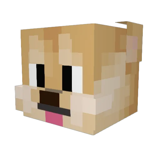 dakotacooldog13 Minecraft avatar head, 3D render