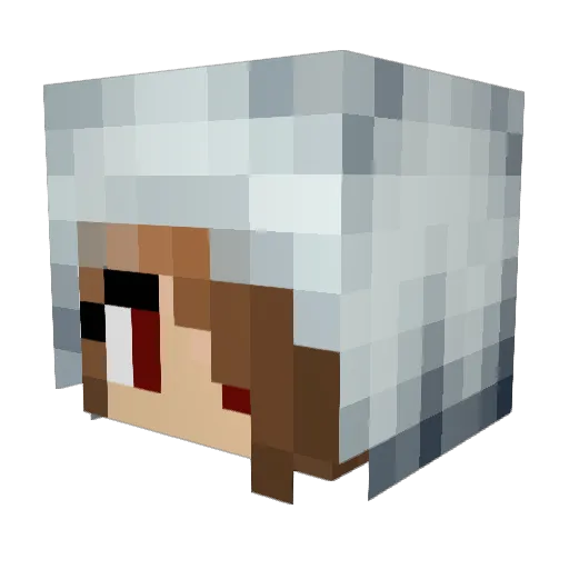 dakotacz Minecraft avatar head, 3D render