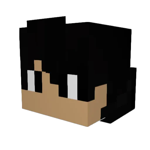 dakshOP2007 Minecraft avatar head, 3D render