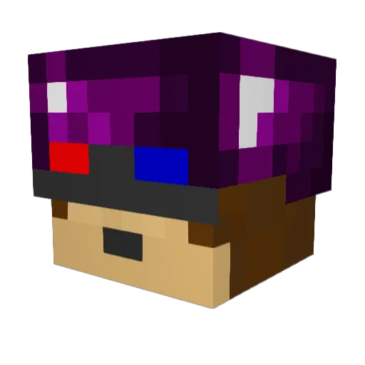 dallaschamp Minecraft avatar head, 3D render