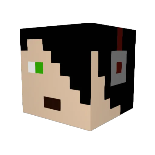 dallaskid1 Minecraft avatar head, 3D render