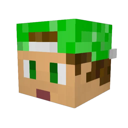 daltoncondawg Minecraft avatar head, 3D render