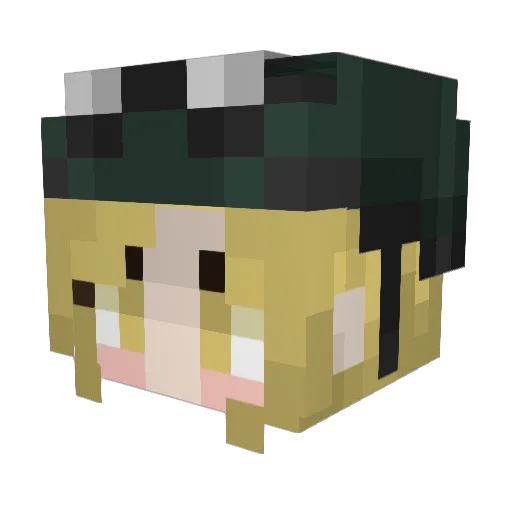 damNAtIOn Minecraft avatar head, 3D render