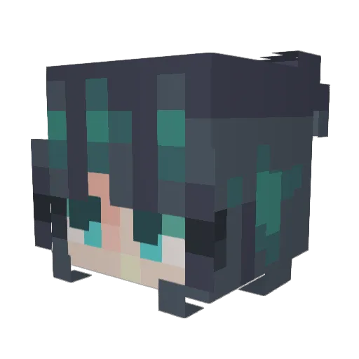 damaio Minecraft avatar head, 3D render