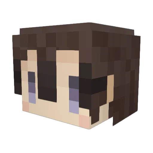 dameido_fudokei Minecraft avatar head, 3D render