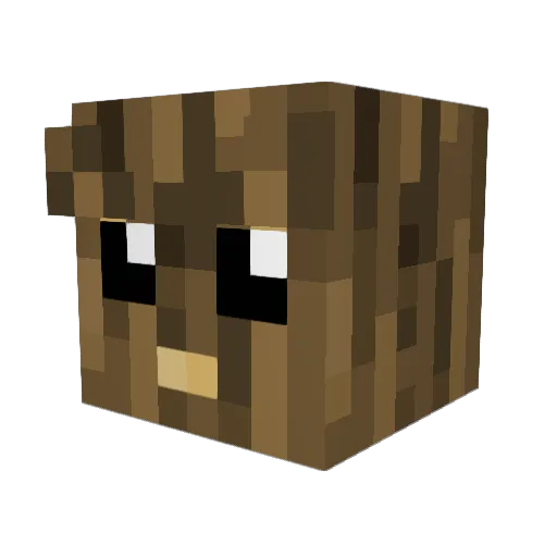 damian2727 Minecraft avatar head, 3D render