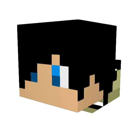 damian_wayne1 Minecraft avatar head, 3D render