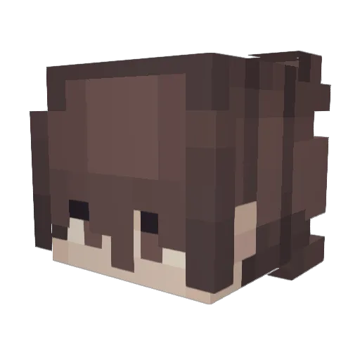 damiqnz Minecraft avatar head, 3D render