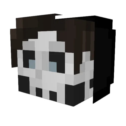 damix55 Minecraft avatar head, 3D render