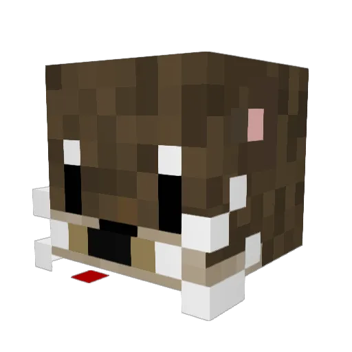 damland Minecraft avatar head, 3D render