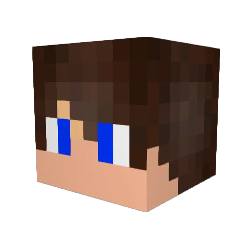 dammboy Minecraft avatar head, 3D render