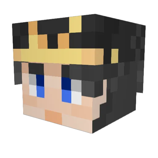 damn110 Minecraft avatar head, 3D render