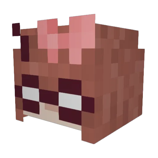 damn_daniel_ Minecraft avatar head, 3D render