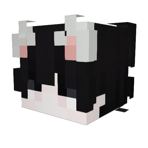 damnssss Minecraft avatar head, 3D render