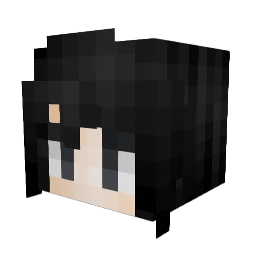 damoose19 Minecraft avatar head, 3D render