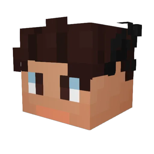 dams_1 Minecraft avatar head, 3D render