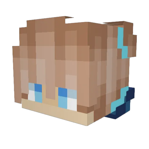 damsdams69530 Minecraft avatar head, 3D render