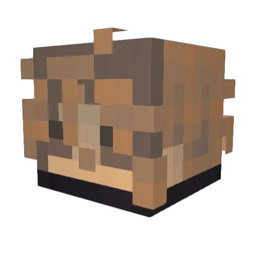 damurring Minecraft avatar head, 3D render