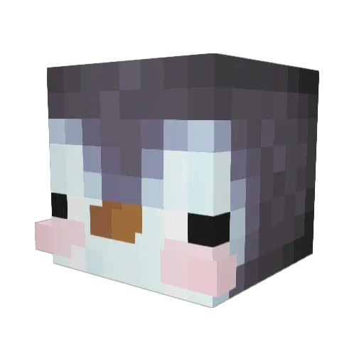 damwep Minecraft avatar head, 3D render