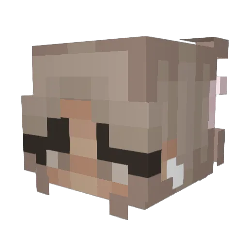 dan1kar Minecraft avatar head, 3D render
