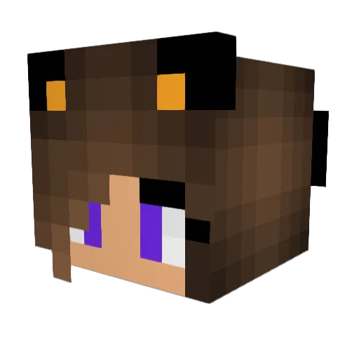 dana2707 Minecraft avatar head, 3D render